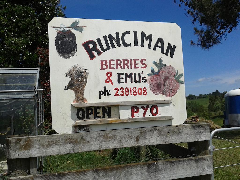Runciman Berries&Emus B&B Ramarama Exterior foto