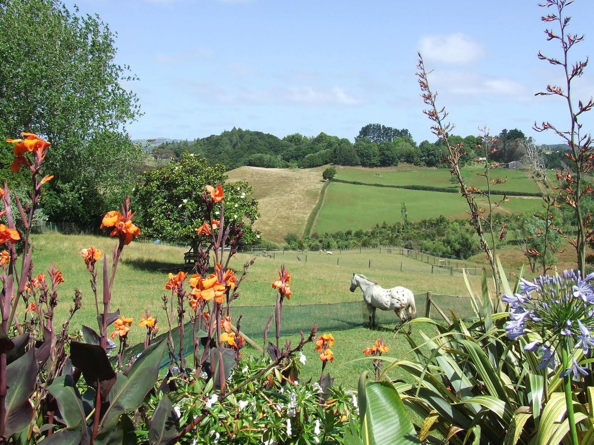 Runciman Berries&Emus B&B Ramarama Exterior foto