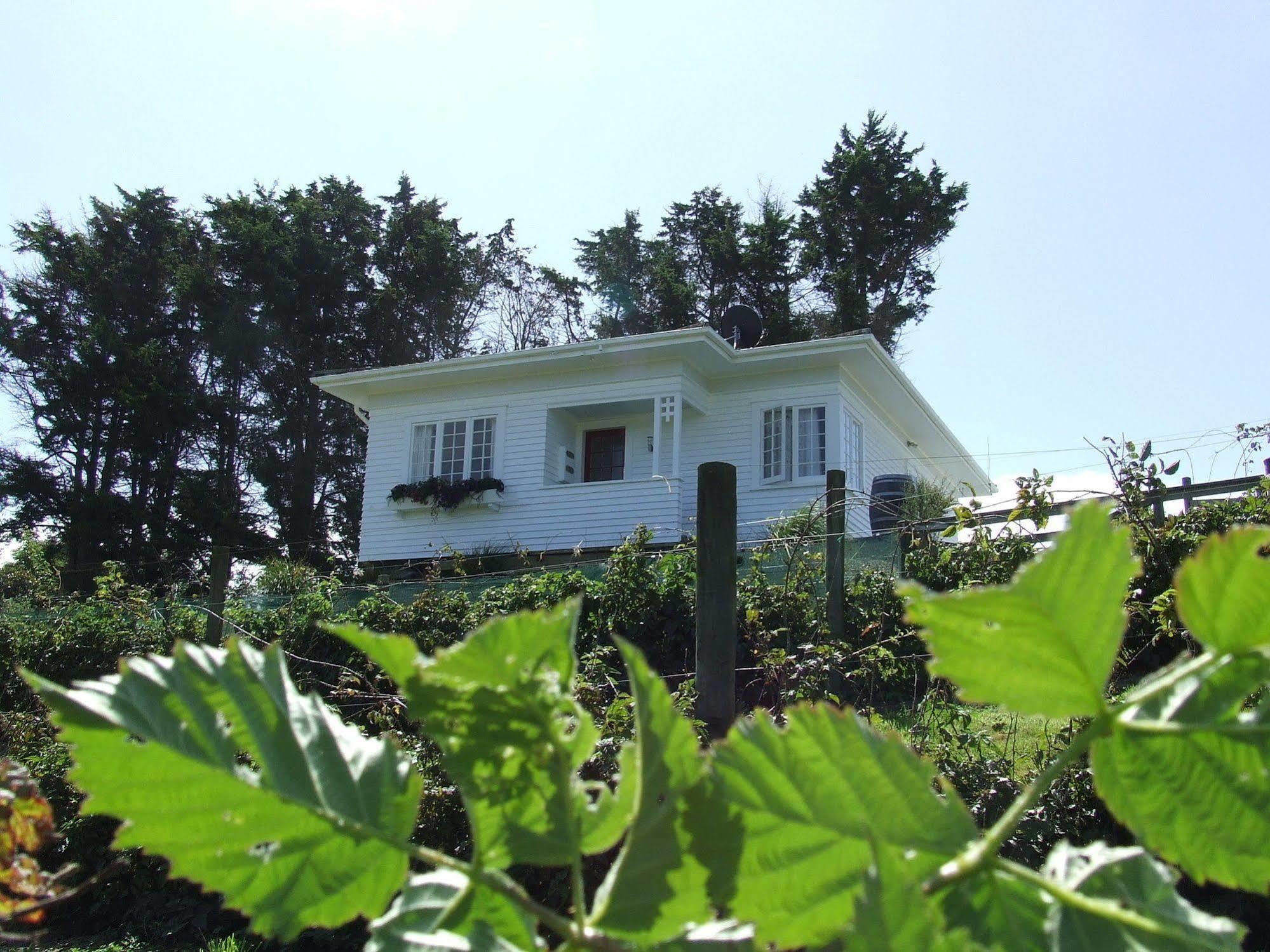 Runciman Berries&Emus B&B Ramarama Exterior foto