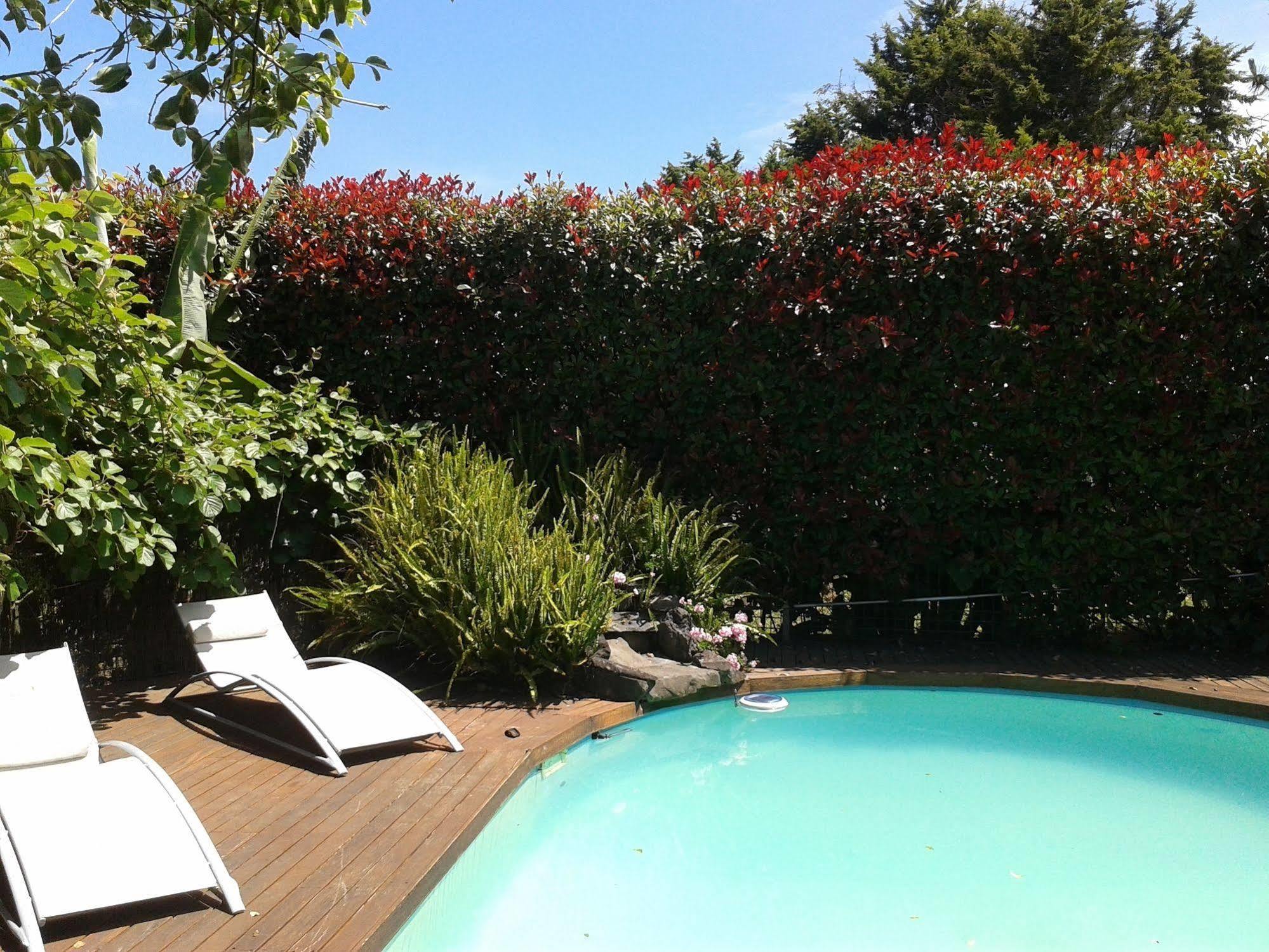 Runciman Berries&Emus B&B Ramarama Exterior foto